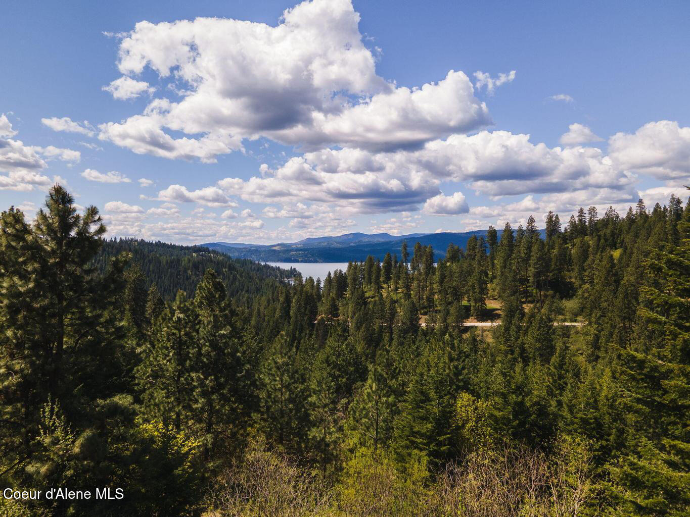 15040 South Bench Road Harrison, ID 83833 - Photo 11 of 17 20210601211546711081000000-o