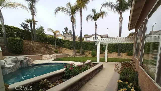 a view of a garden with palm trees