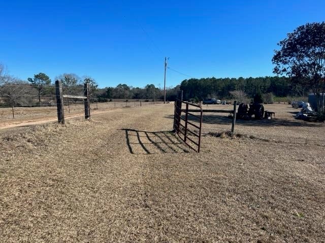 26541 Old Boggy Road Opp, AL 36467 - Photo 25 of 50 Gallery Image 25