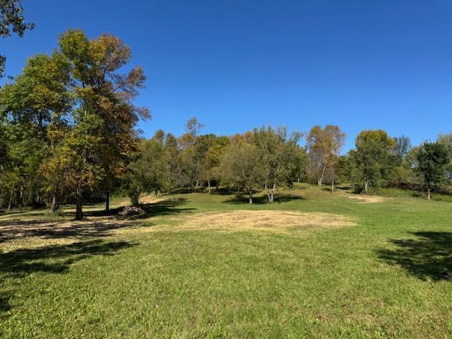Tbd 405th Avenue Ottertail, MN 56571 - Photo 3 of 20