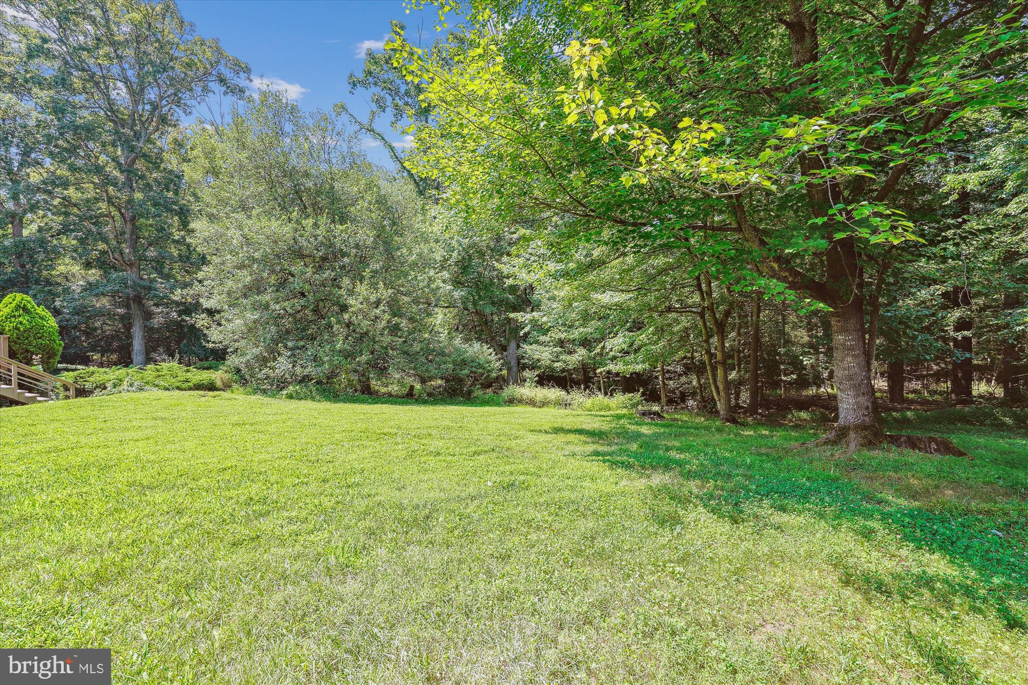 12109 Stirrup Road Reston, VA 20191 - Photo 42 of 52 a view of a grassy field with trees