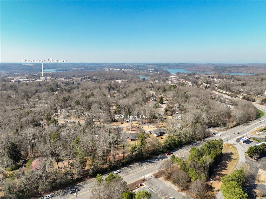 228 Riggs Drive Clemson, SC 29631 - Photo 4 of 33 Gallery Image 4