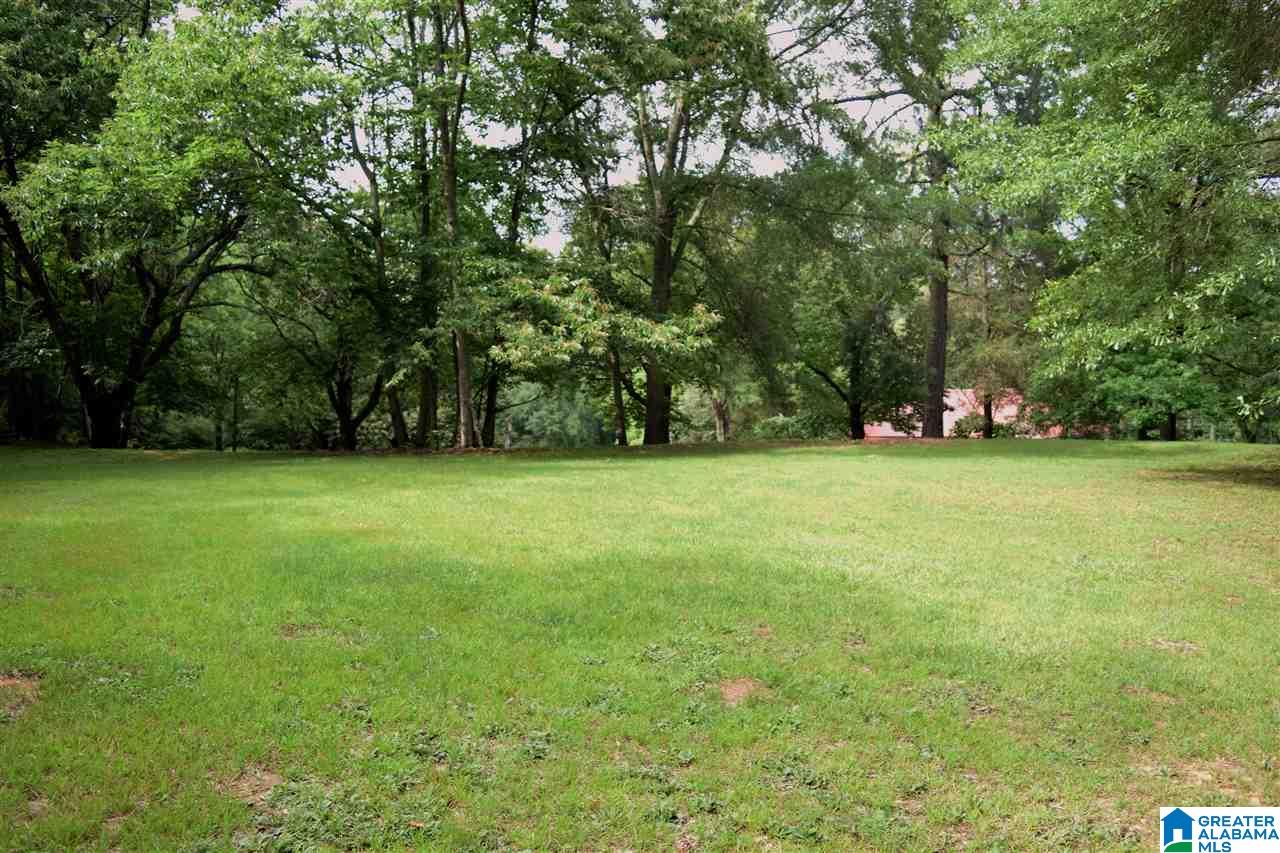 56411 Highway 231 Oneonta, AL 35121 - Photo 45 of 50