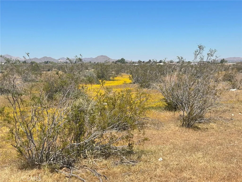 20 Matawan Road Apple Valley, CA 92307 - Photo 5 of 13