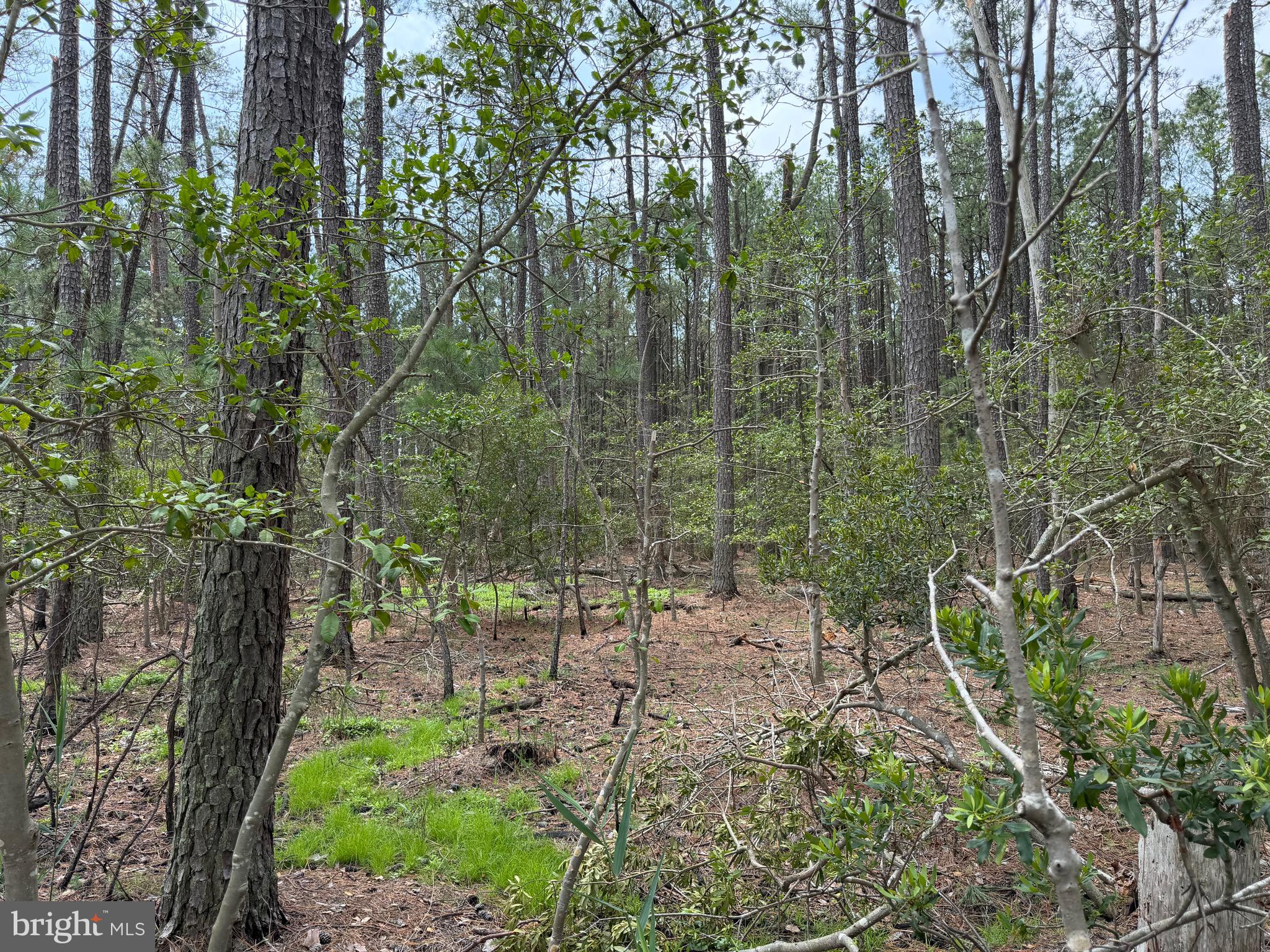 0 Hooper Neck Road Madison, MD 21648 - Photo 57 of 129