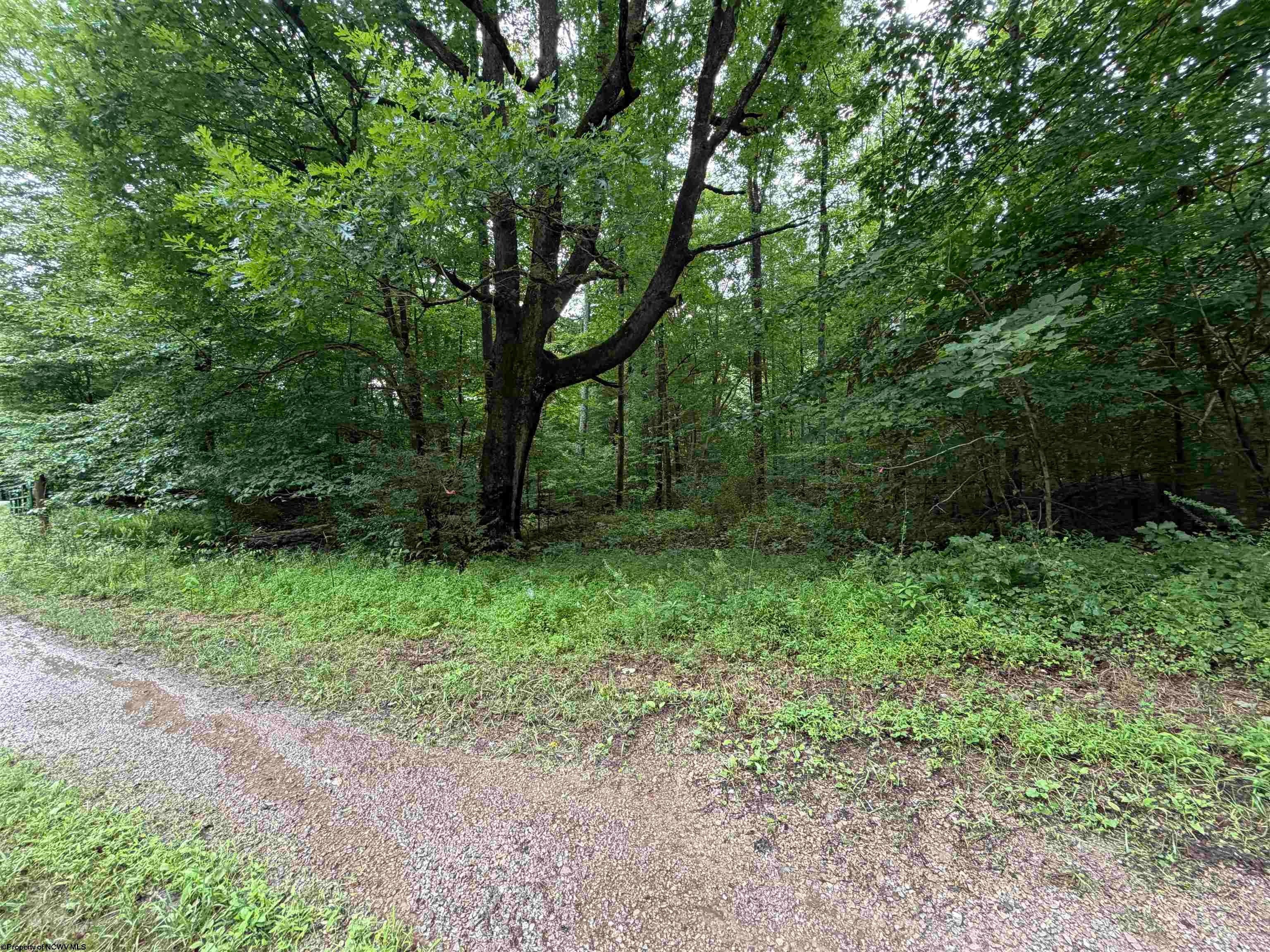 0 Copley Road Weston, WV 26452 - Photo 13 of 16 Gallery Image 13