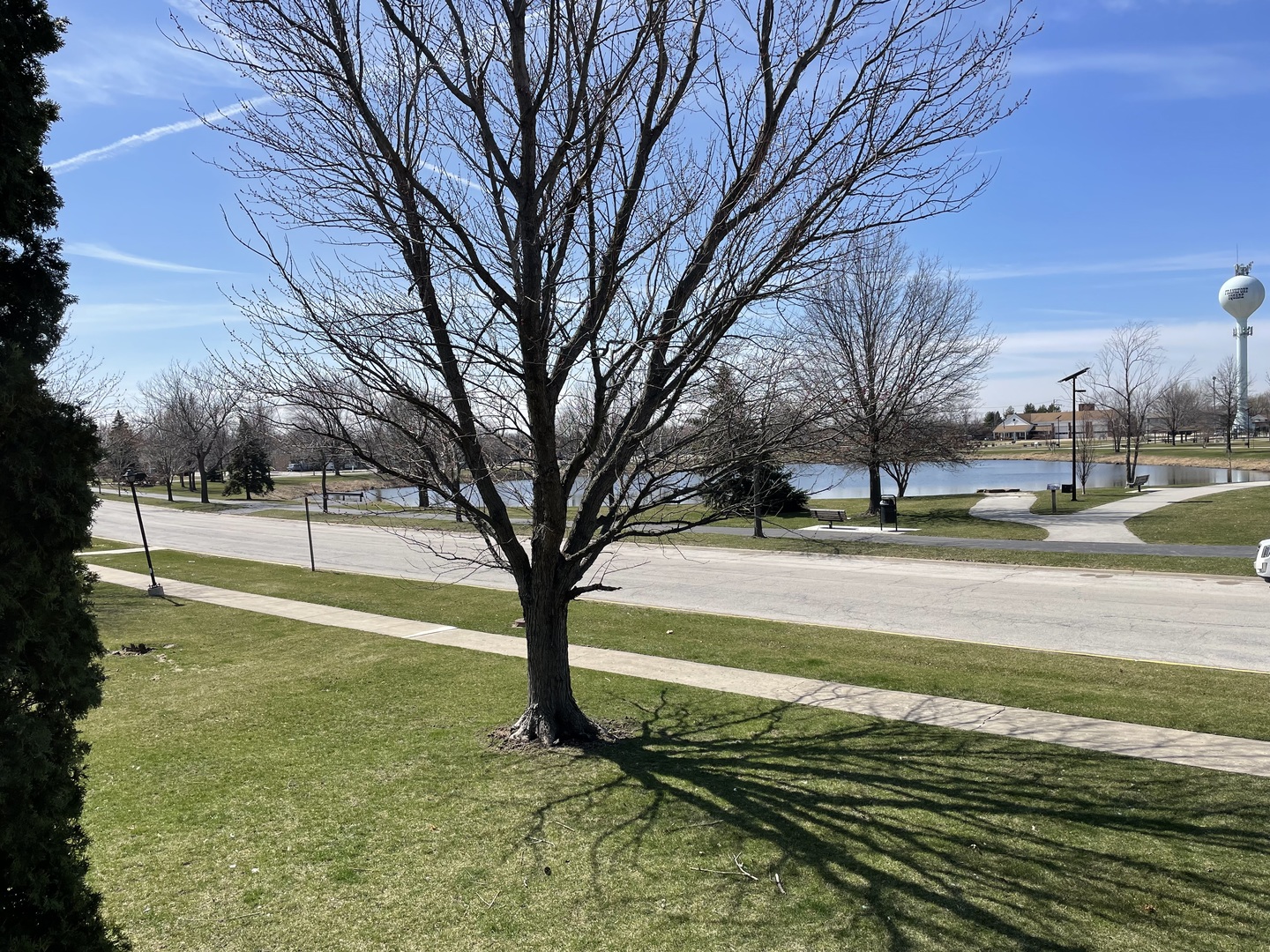 20206 South Frankfort Square Road, Unit F Frankfort, IL 60423 - Photo 16 of 16 a view of a yard with large trees