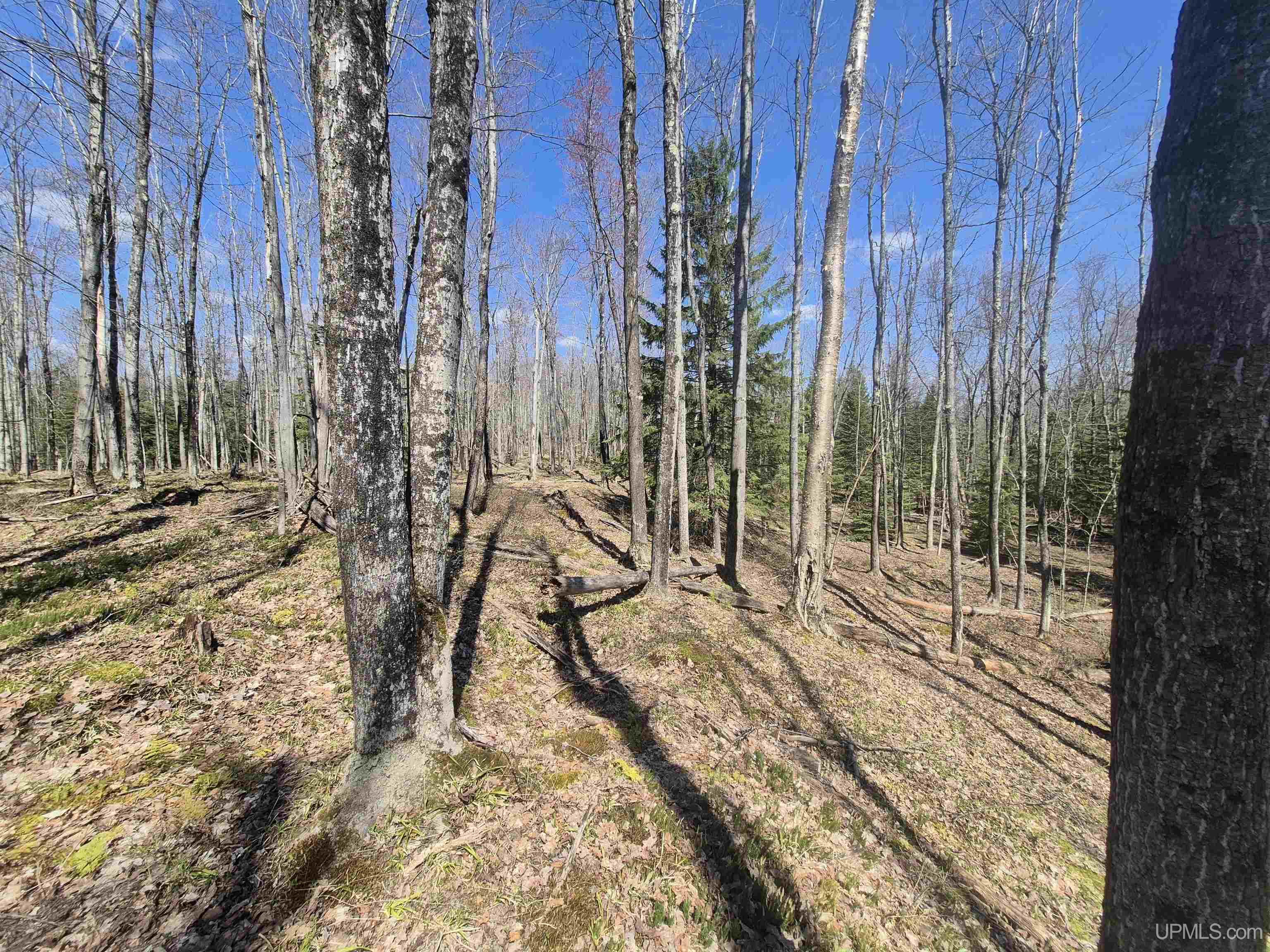 12-acres Salmon Road L'Anse, MI 49946 - Photo 28 of 39