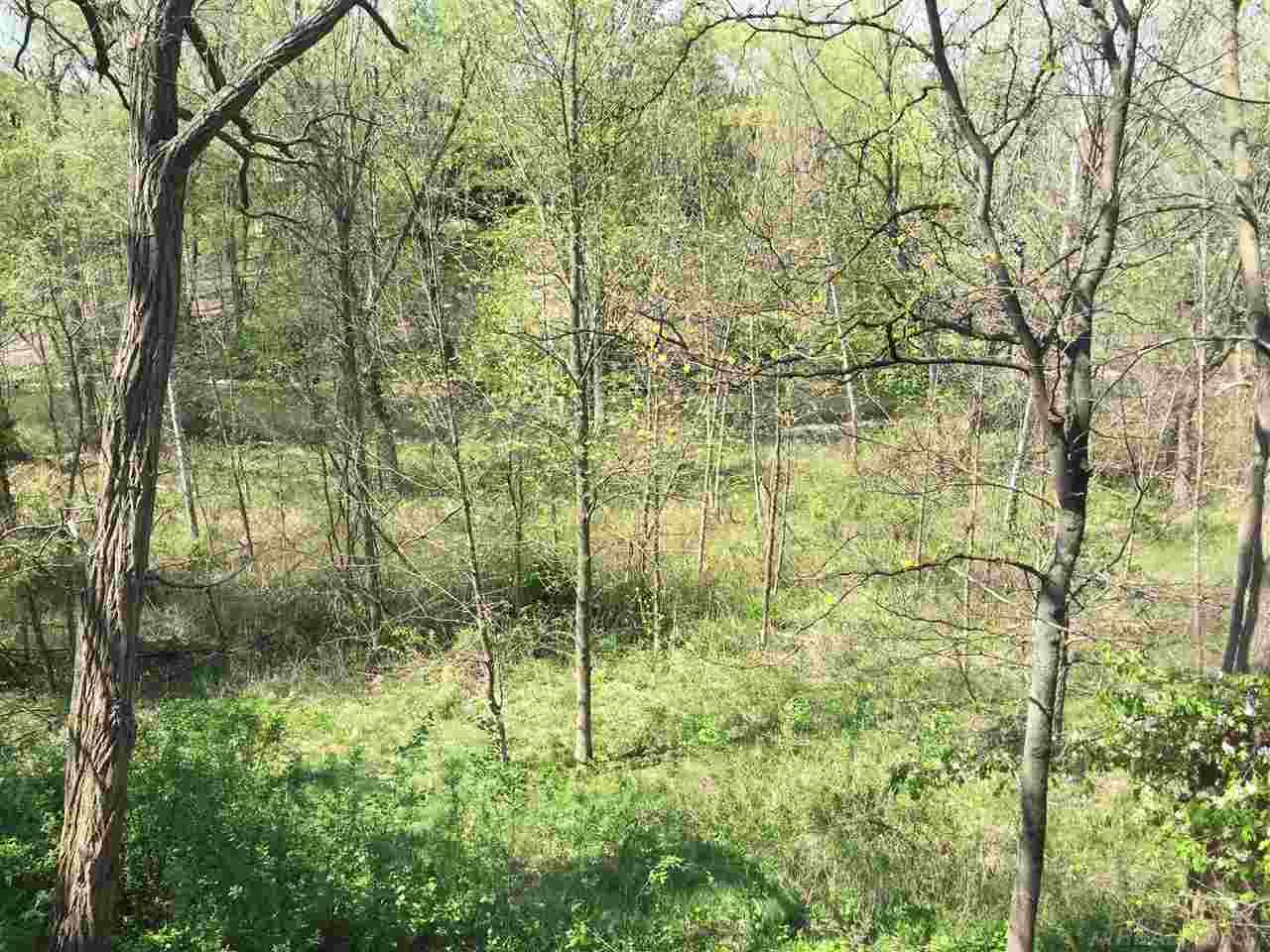 1697 Riverside Drive Rochester Hills, MI 48309 - Photo 2 of 27