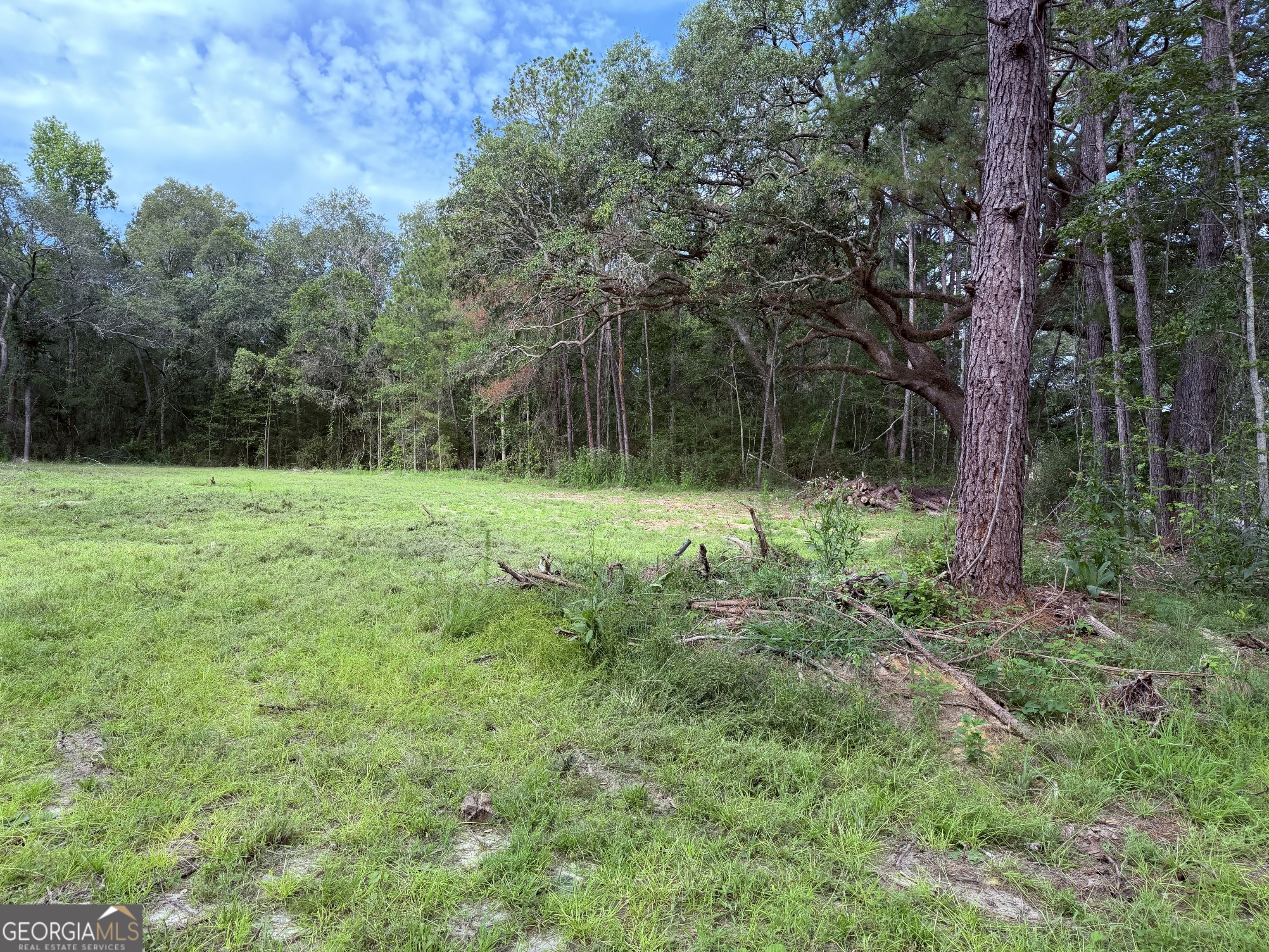 3980 Mosley Road Claxton, GA 30417 - Photo 8 of 10