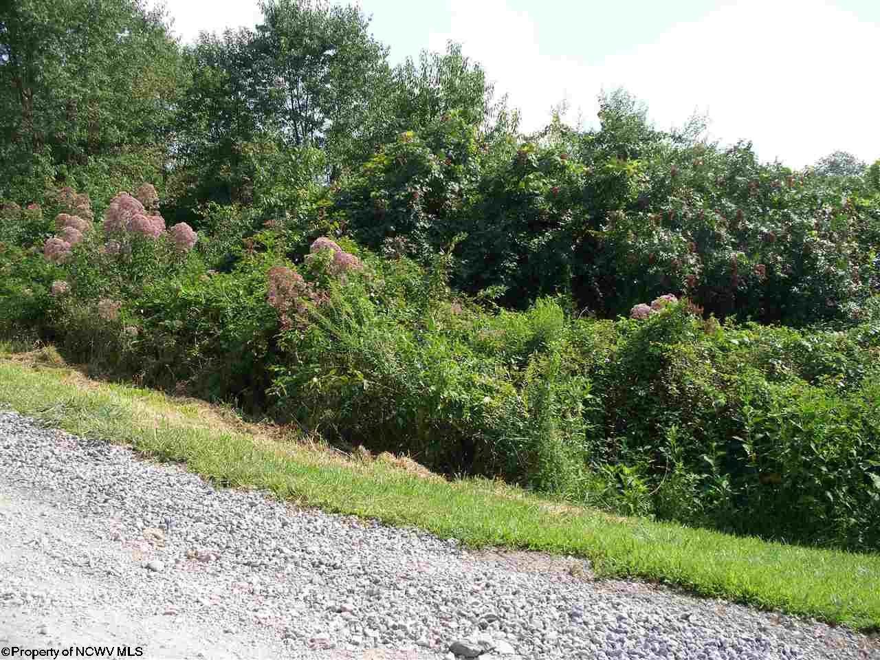 29-30 Ridgeview Jane Lew, WV 26378 - Photo 8 of 9 Gallery Image 8
