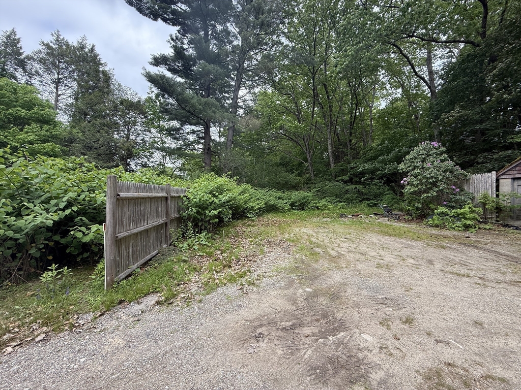 4 Shore Road Wellesley, MA 01760 - Photo 12 of 23 a backyard of a house with lots of green space