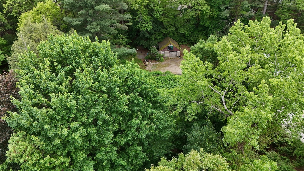 4 Shore Road Wellesley, MA 01760 - Photo 17 of 23 a backyard of a house with lots of green space