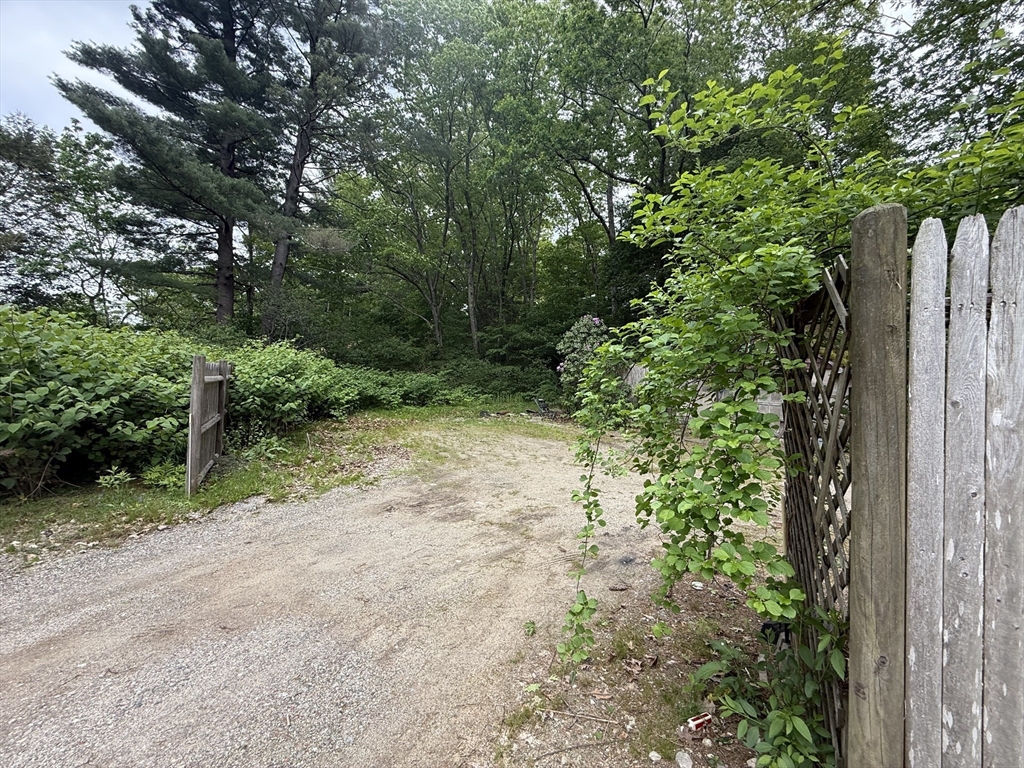 4 Shore Road Wellesley, MA 01760 - Photo 7 of 23 a view of a yard with plants and a large tree