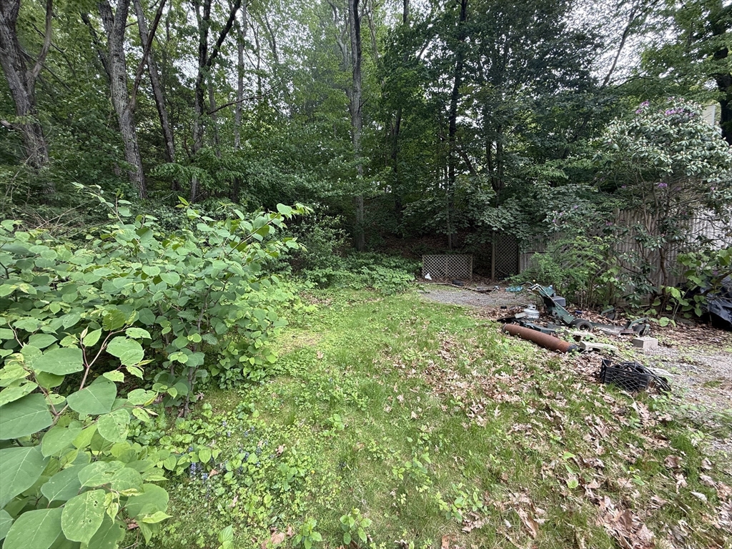 4 Shore Road Wellesley, MA 01760 - Photo 8 of 23 a backyard of a house with lots of green space and fountain