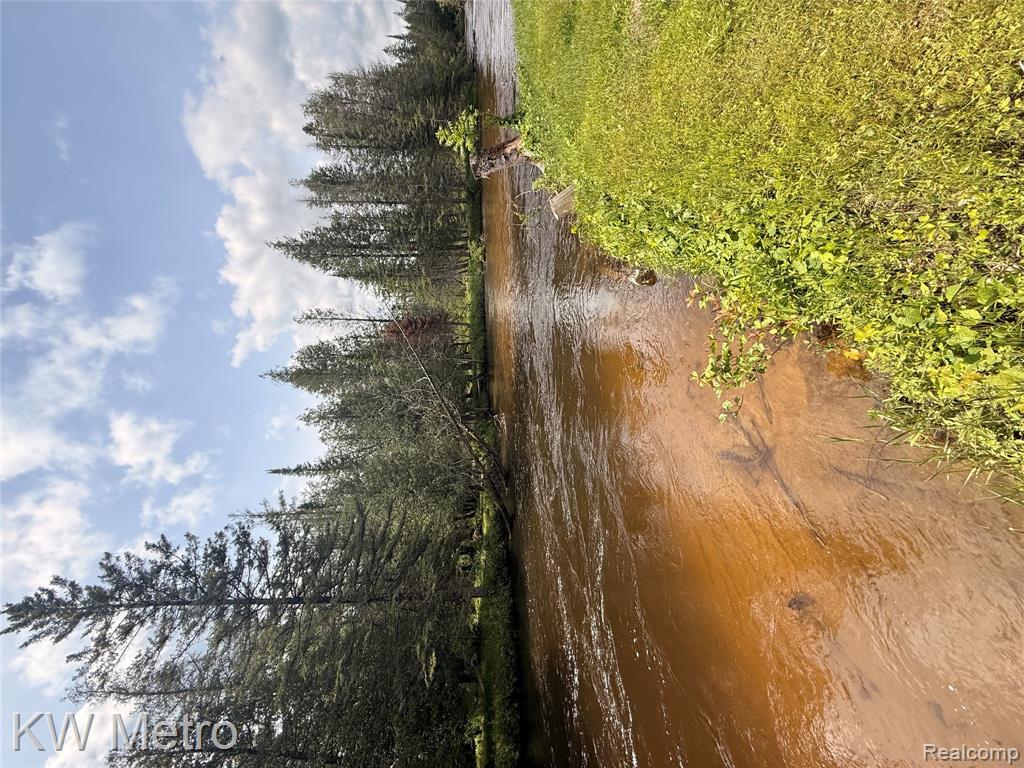 5749 Schultz Road Indian River, MI 49749 - Photo 23 of 24