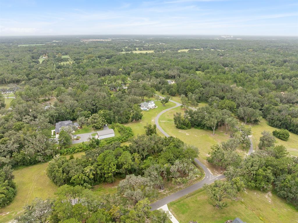 17287 Southwest 11th Court Newberry, FL 32669 - Photo 14 of 14 an aerial view of residential houses with outdoor space and trees