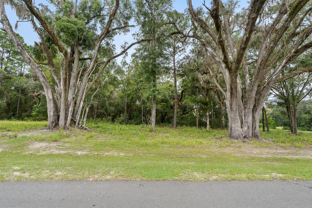 17287 Southwest 11th Court Newberry, FL 32669 - Photo 4 of 14 a view of a trees in a yard