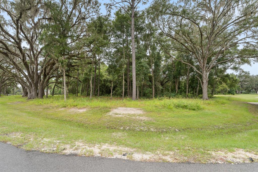 17287 Southwest 11th Court Newberry, FL 32669 - Photo 5 of 14 a view of a field with a trees in the background