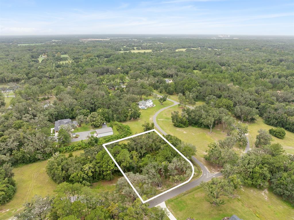 17287 Southwest 11th Court Newberry, FL 32669 - Photo 8 of 14 an aerial view of residential houses with outdoor space