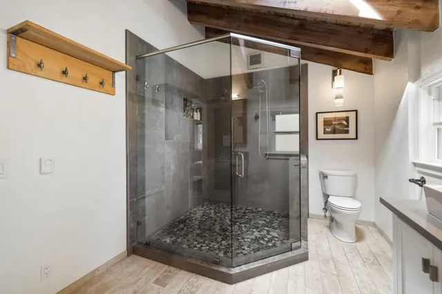 a bathroom with a shower and toilet