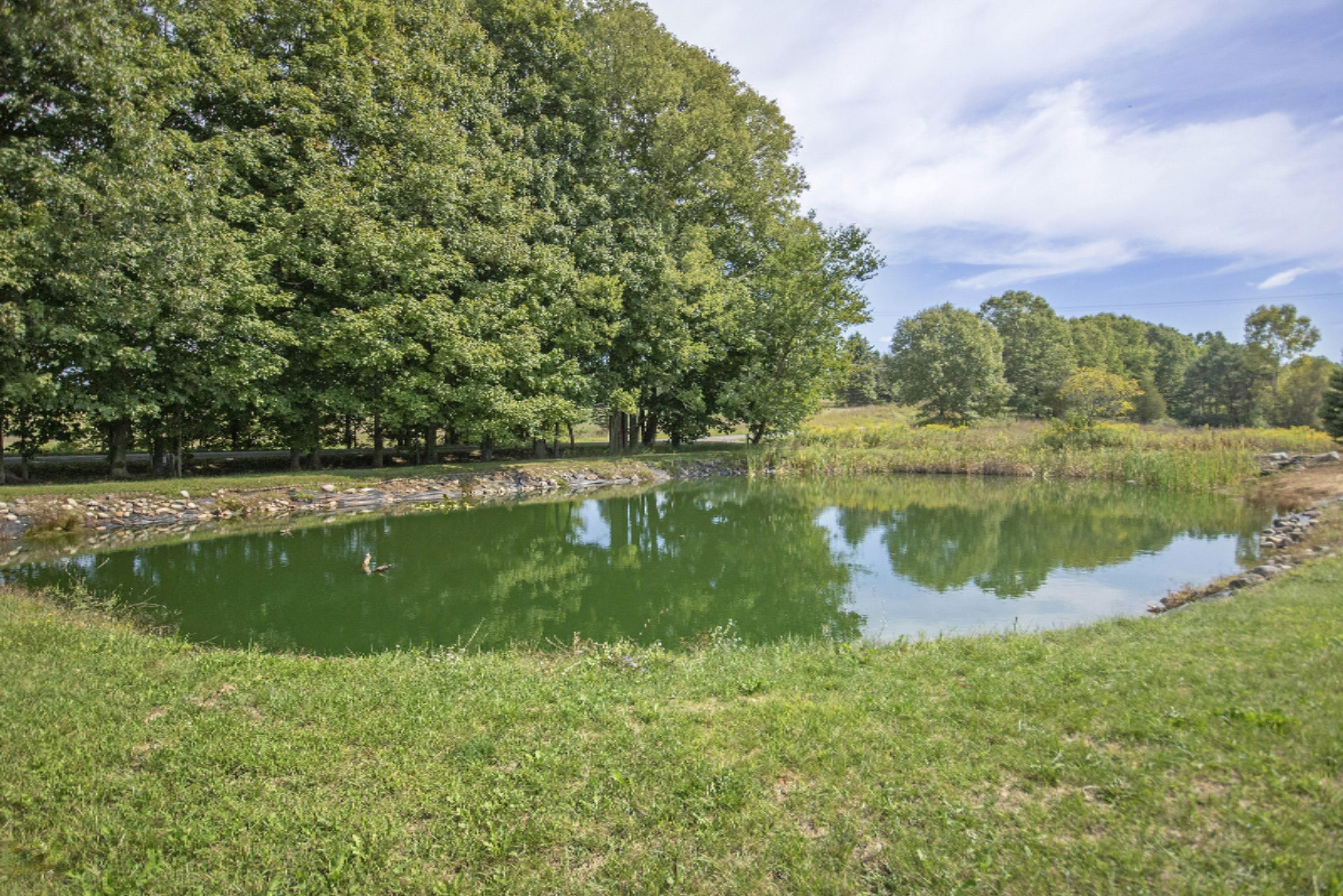 7445 Irving Road Middleville, MI 49333 - Photo 54 of 56 IMG_8033-
