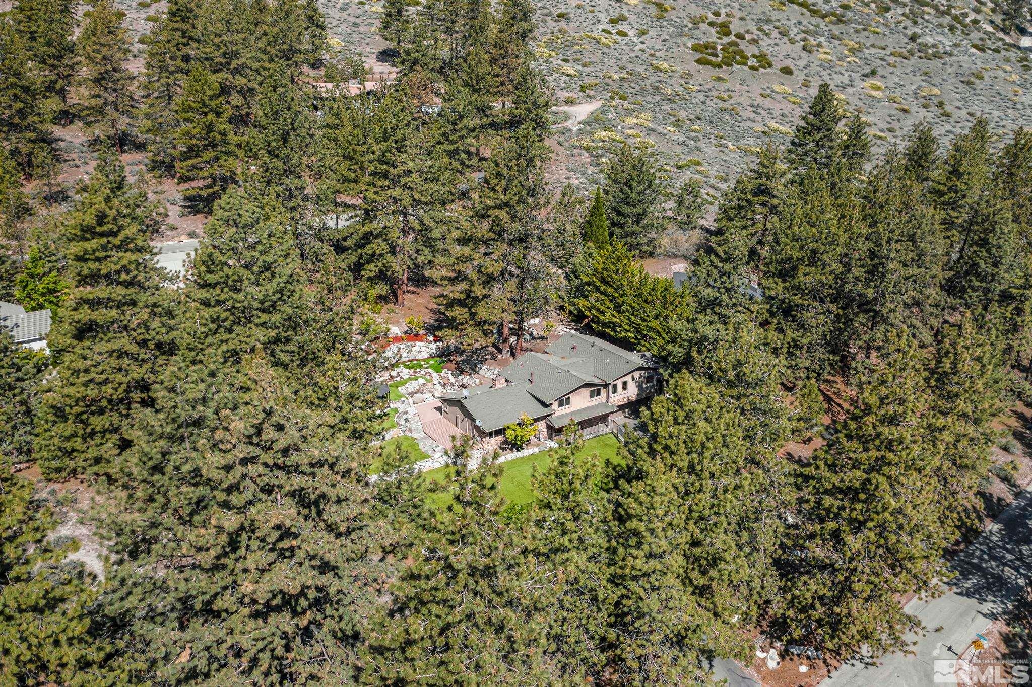 4520 Wagon Wheel Road Carson City, NV 89703 - Photo 6 of 40 Photo 6