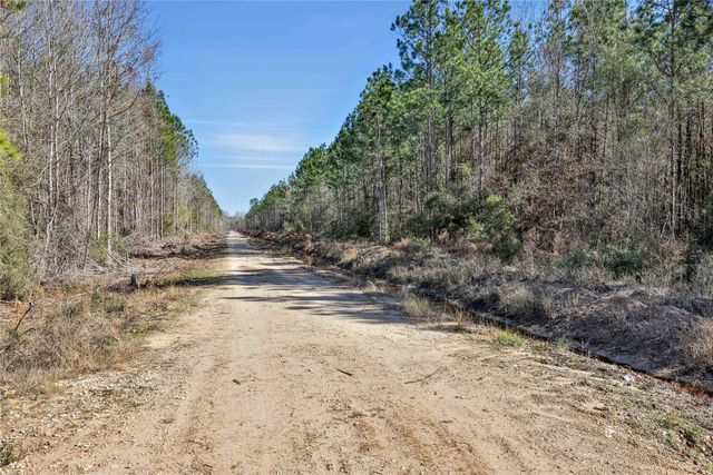 a view of a dry yard with trees