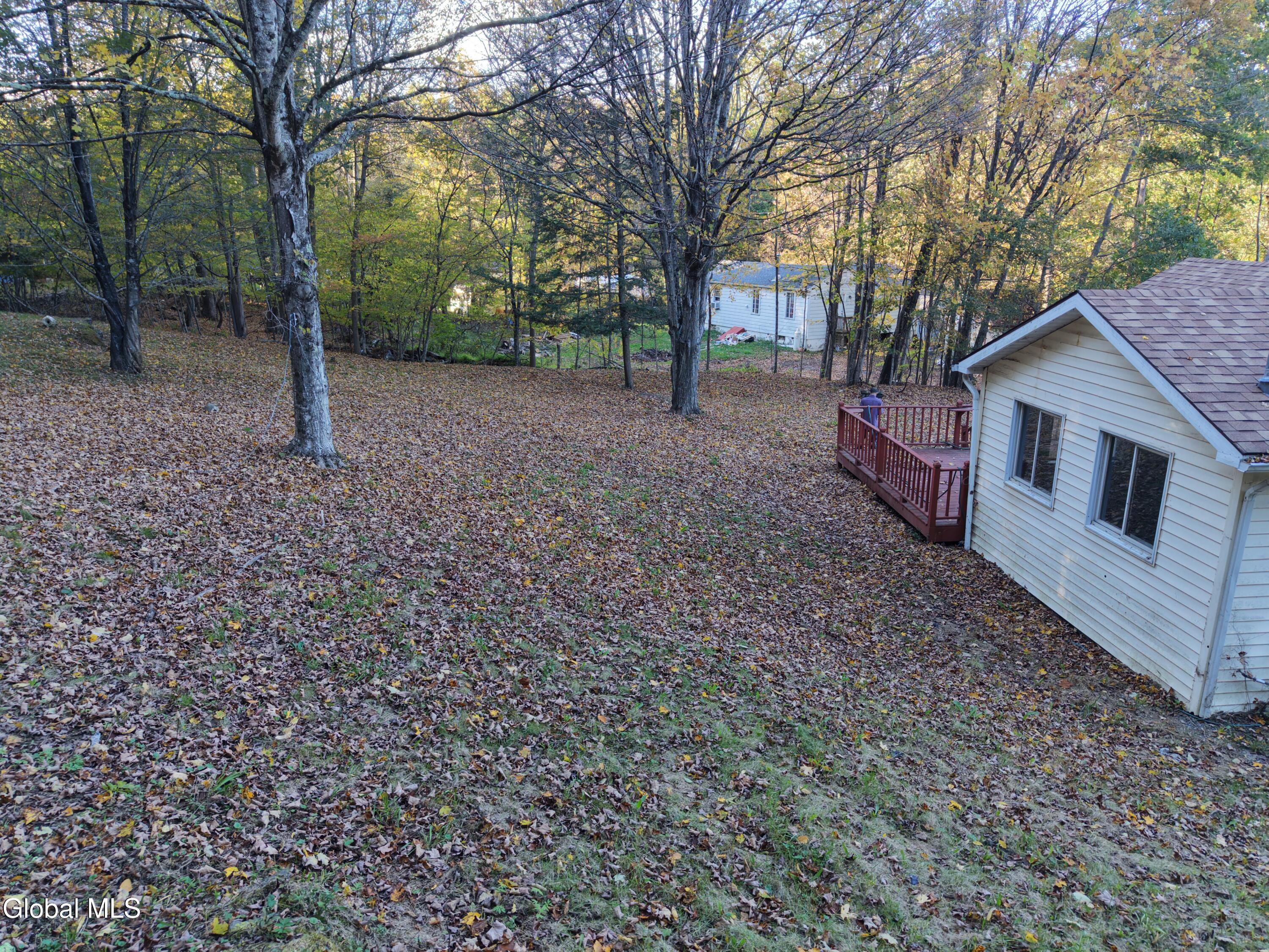 194 Enchanted Valley Road Durham, NY 12418 - Photo 23 of 45 dji_fly_20261005_170800_0420_17913078823