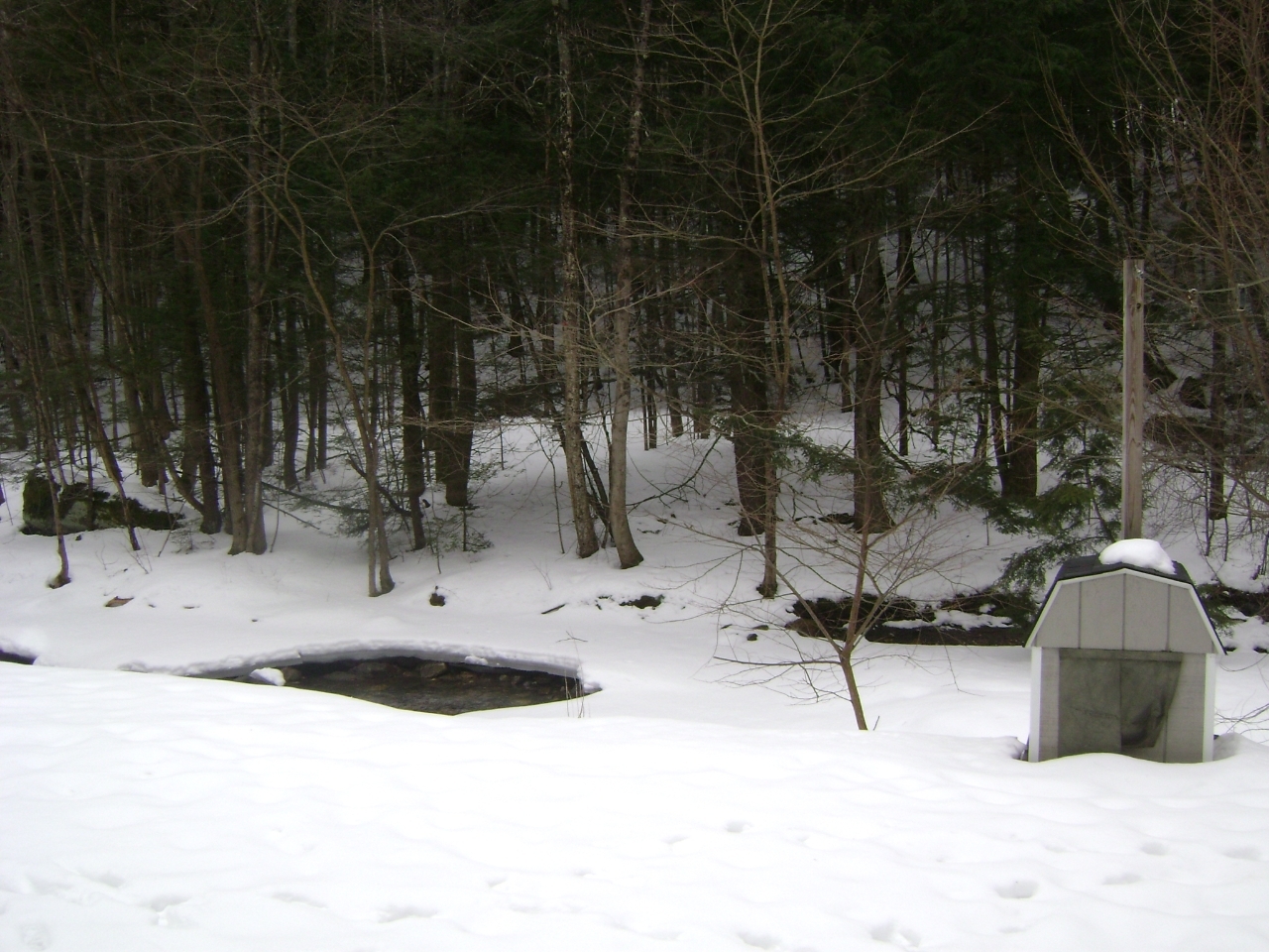 777 Sandmill Road Cheshire, MA 01225 - Photo 9 of 15 rear yard