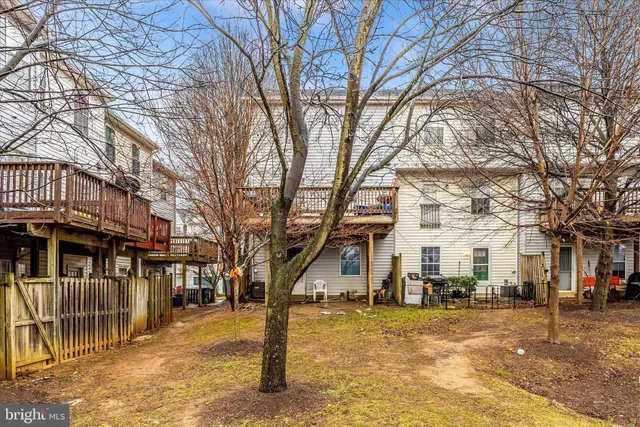 a view of road with large trees