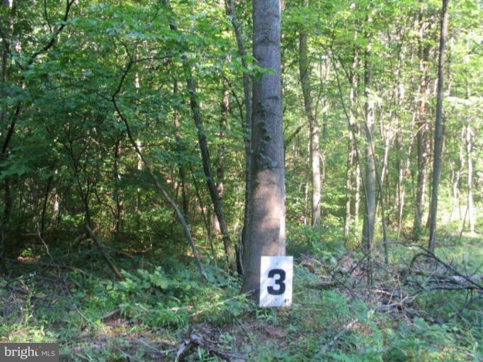 3 Landis Lane Green Spring, WV 26722 - Photo 2 of 6 Wooded View / Acreage