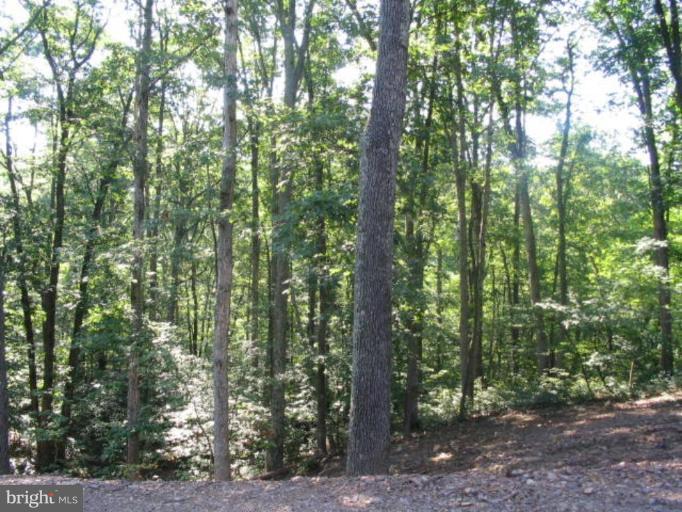 3 Landis Lane Green Spring, WV 26722 - Photo 3 of 6 Wooded View / Acreage 2