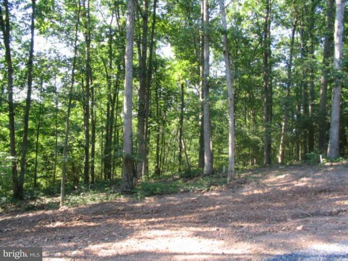 3 Landis Lane Green Spring, WV 26722 - Photo 4 of 6 Wooded View / Acreage 3