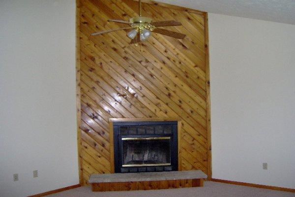 133 Timber Hill Road Henryville, PA 18332 - Photo 4 of 8 Living Room Fireplace