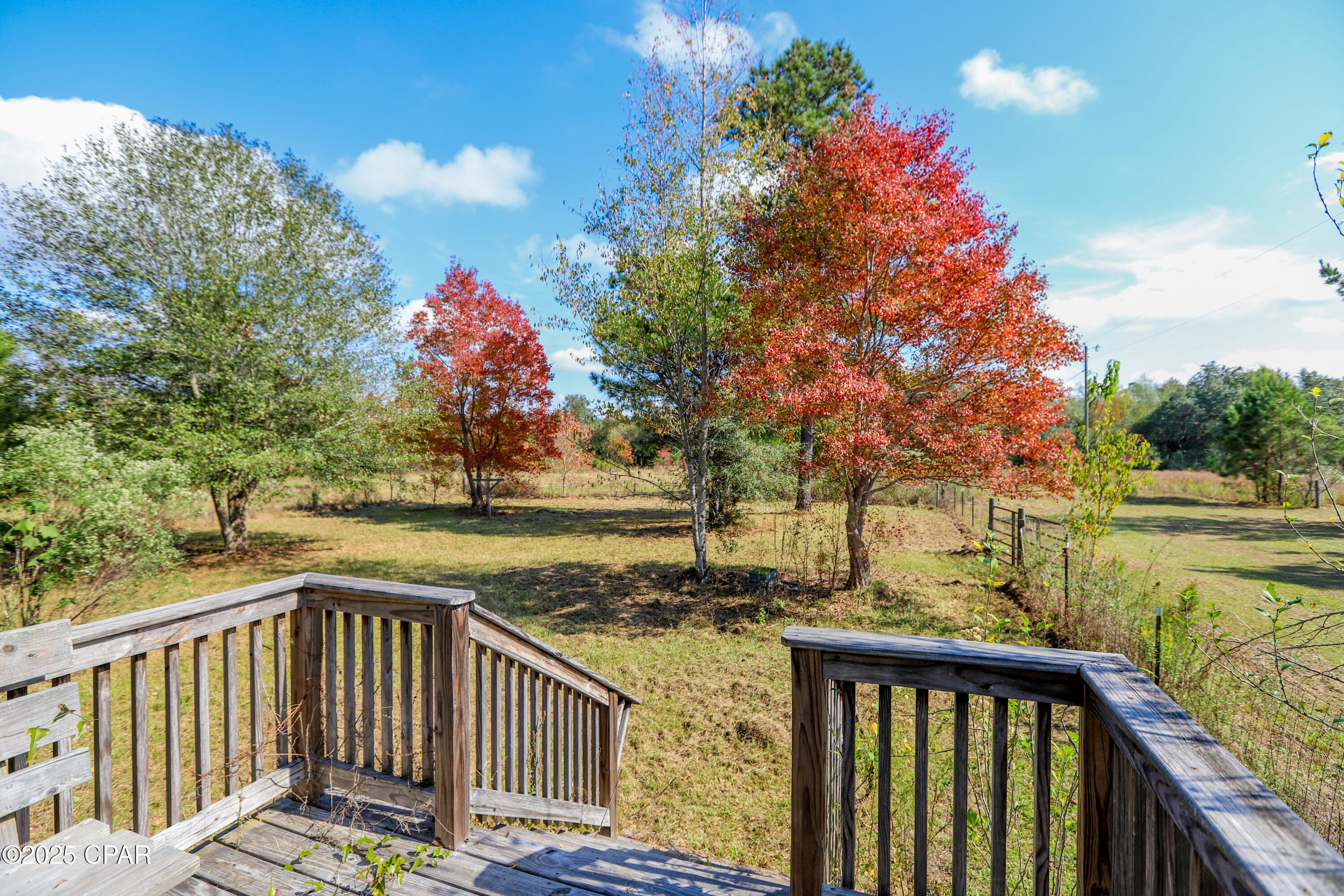 2807 Aries Trail Grand Ridge, FL 32442 - Photo 3 of 16