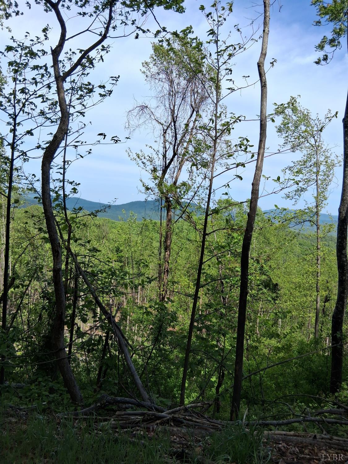 0 Robinson Gap Road Monroe, VA 24574 - Photo 11 of 44 Gallery Image 11