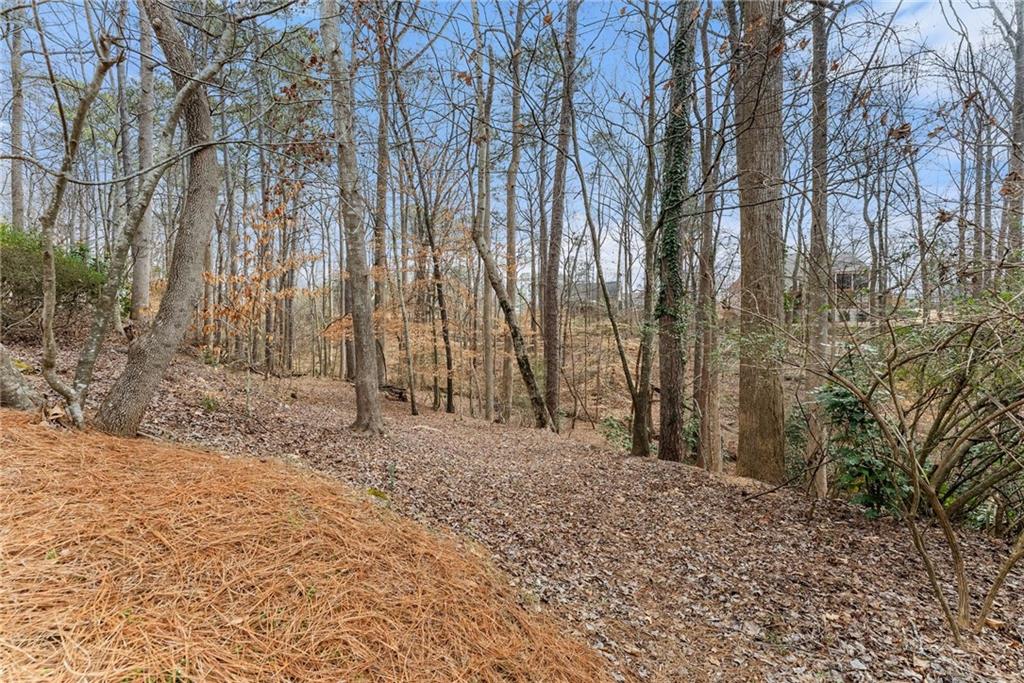 3585 Ridgewood Point Gainesville, GA 30504 - Photo 34 of 41 a backyard of a house with lots of green space
