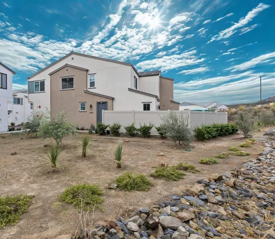 a view of a dry yard with large tree