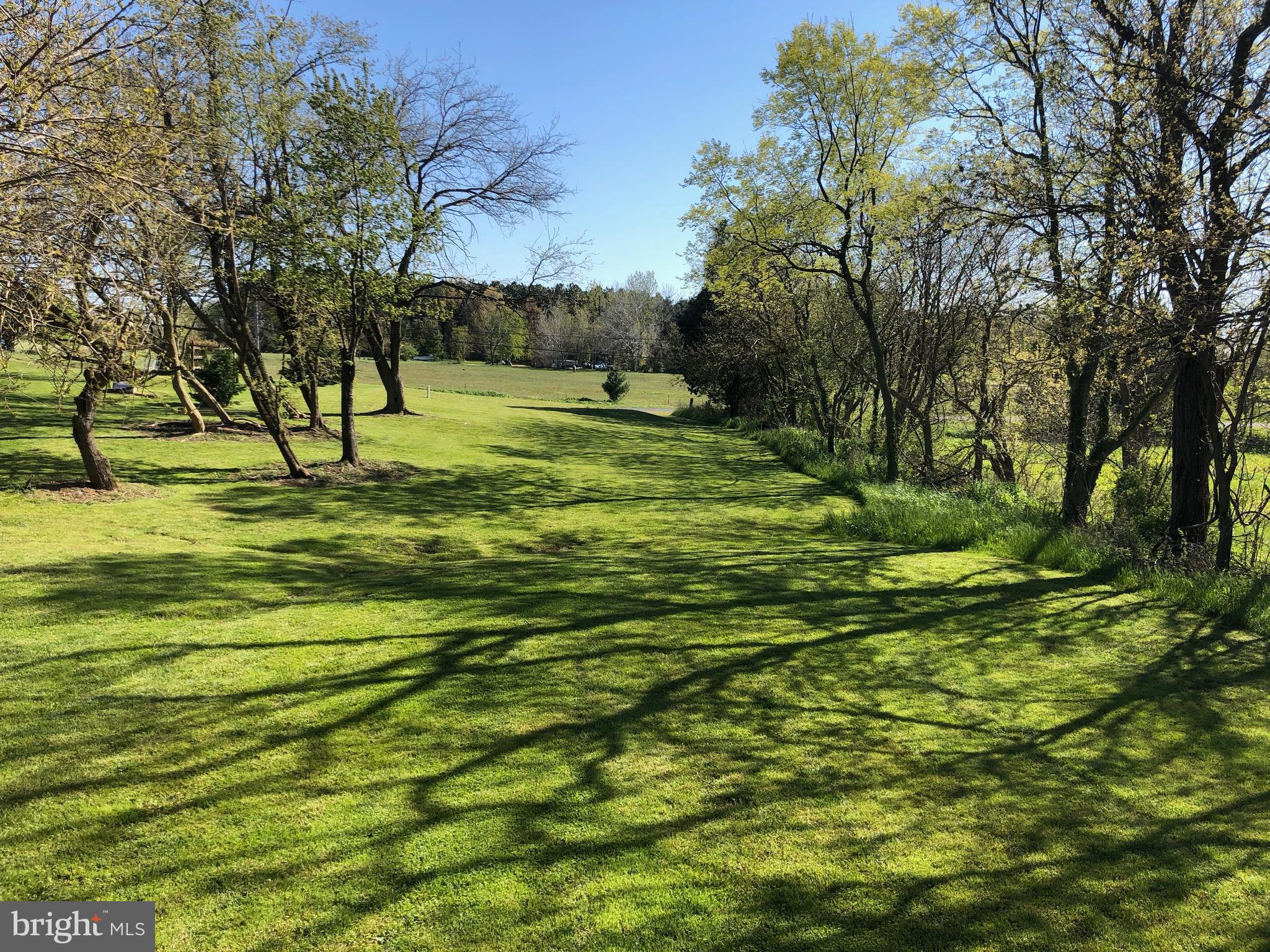 25452 Still Pond Neck Road Worton, MD 21678 - Photo 1 of 2 This is your view on a build able lot.