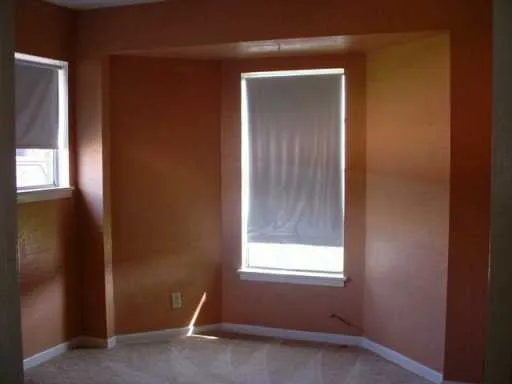 a potted plant sitting in front of a house
