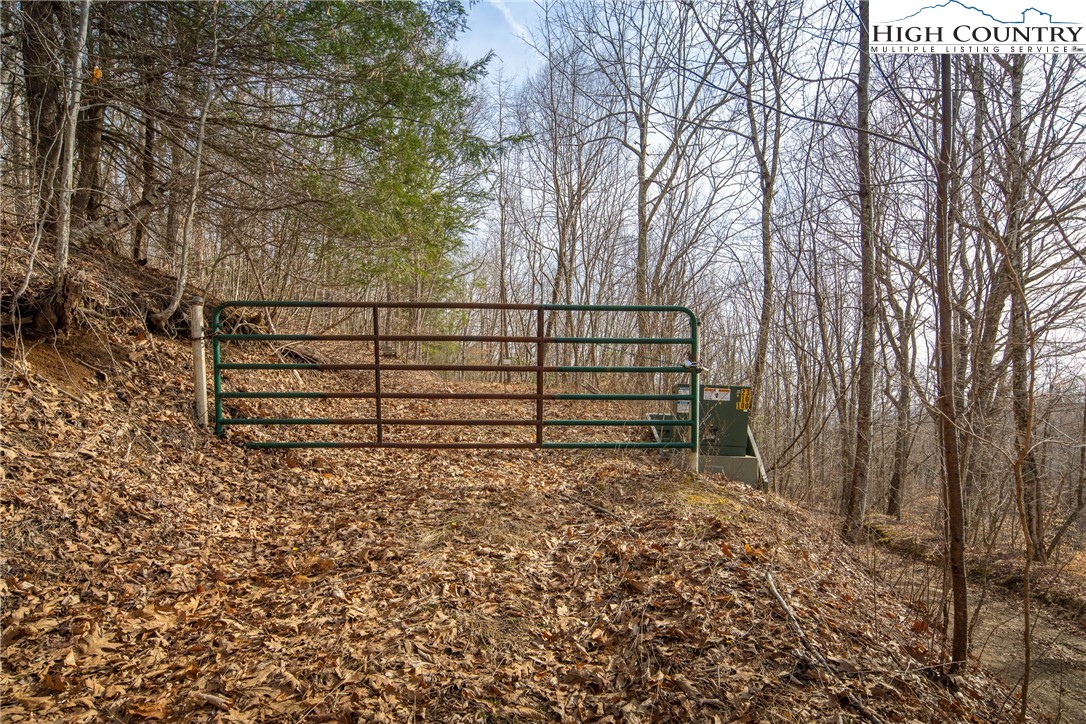 1395 Grady Winkler Road Boone, NC 28607 - Photo 40 of 50 Gallery Image 40
