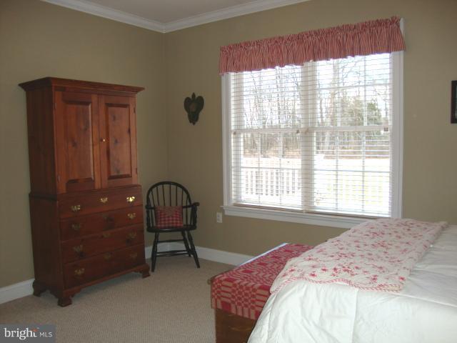 127 Bittern Drive Gettysburg, PA 17325 - Photo 29 of 30 Third Bedroom