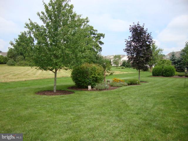 127 Bittern Drive Gettysburg, PA 17325 - Photo 6 of 30 Pretty Premium Lot Offers .34 Acre Lot
