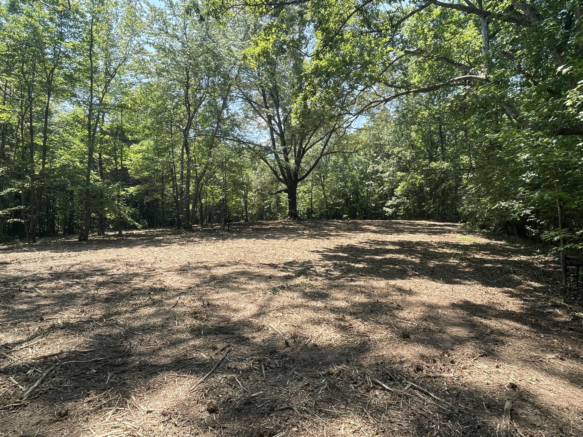 0 Euchee Road Ten Mile, TN 37880 - Photo 11 of 29