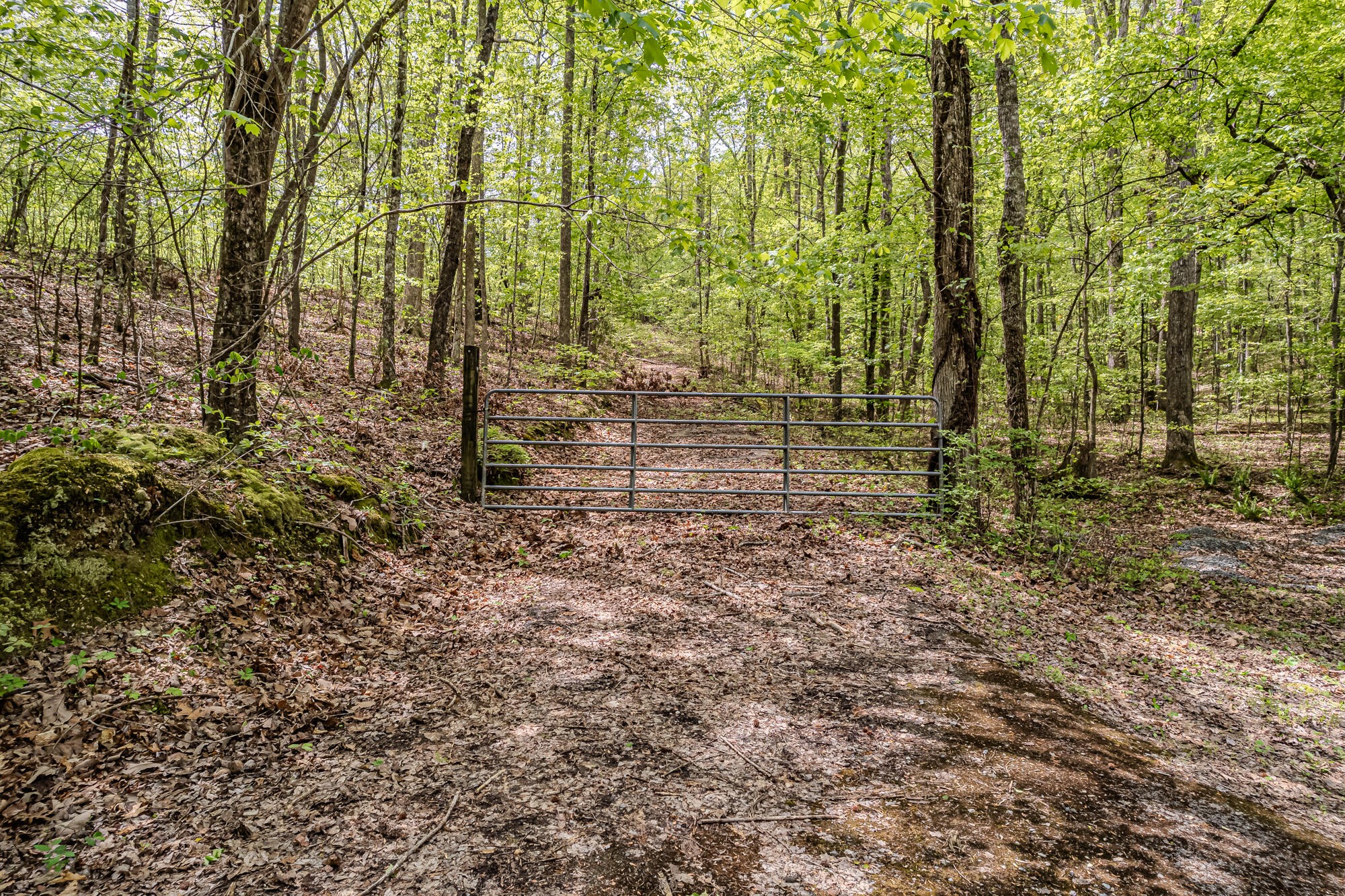 0 Euchee Road Ten Mile, TN 37880 - Photo 12 of 29