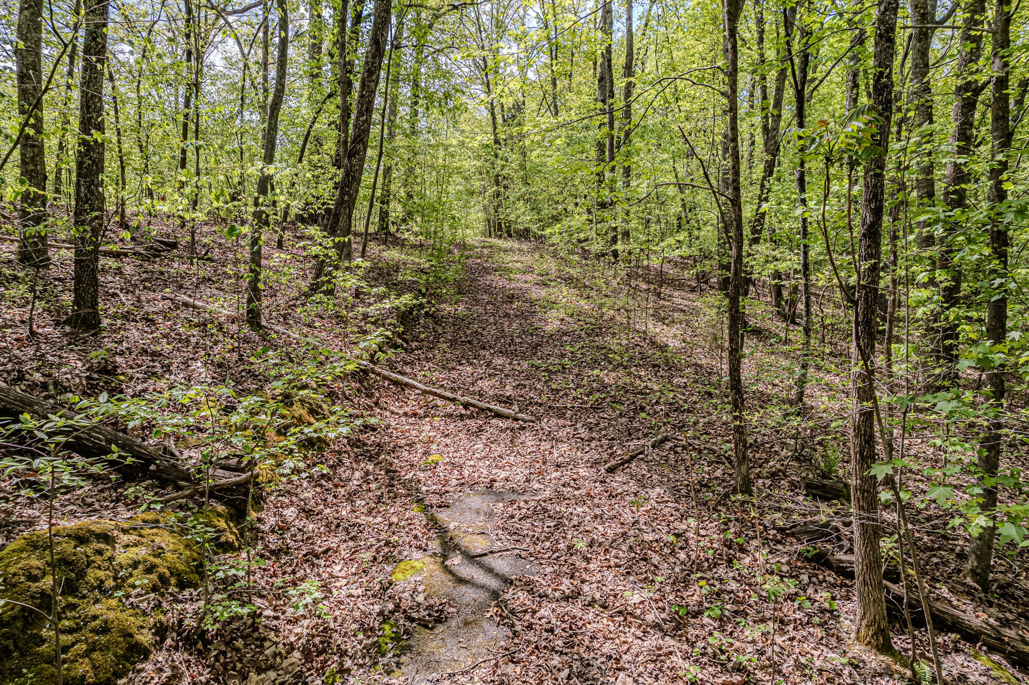 0 Euchee Road Ten Mile, TN 37880 - Photo 15 of 29