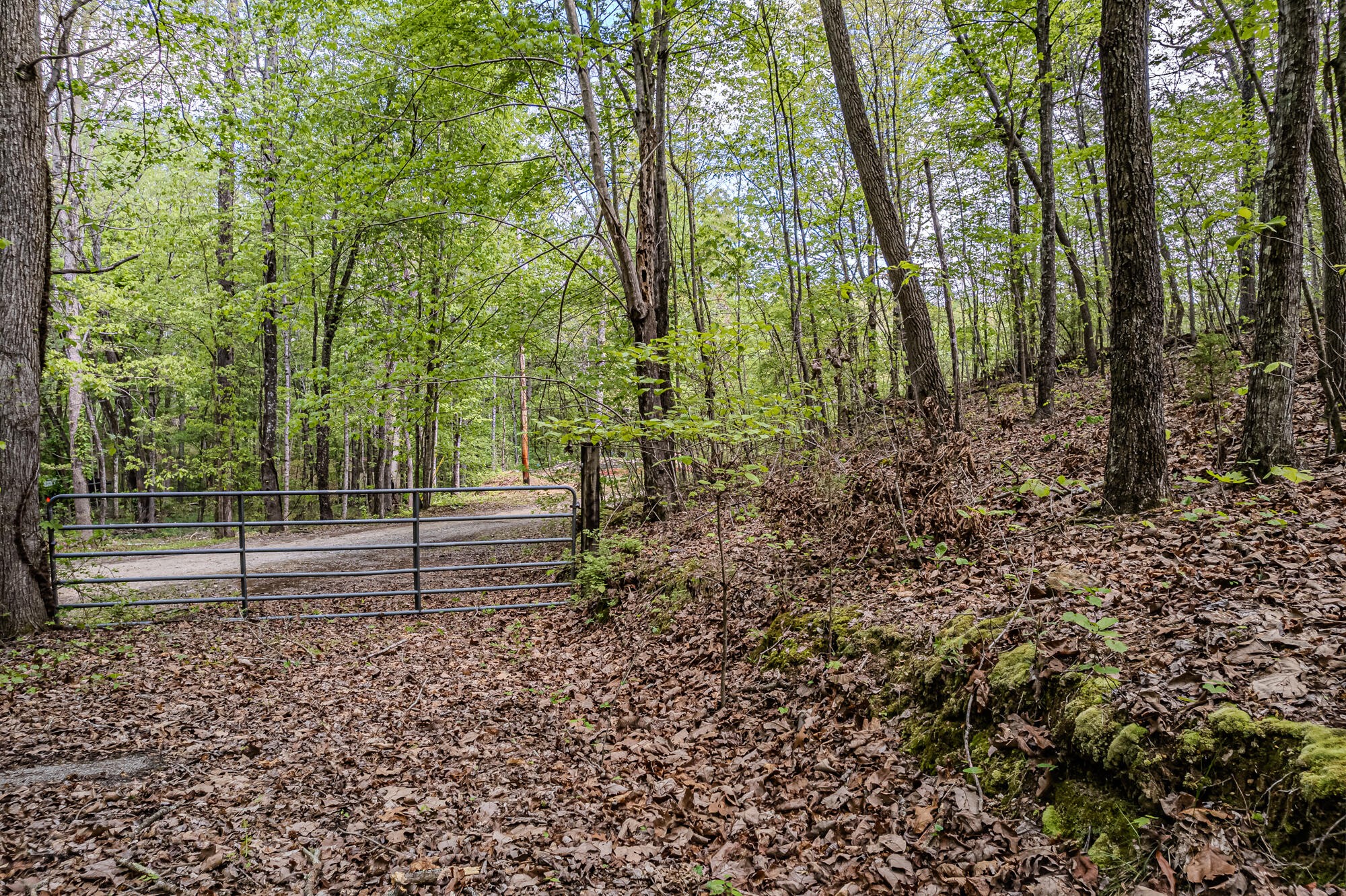 0 Euchee Road Ten Mile, TN 37880 - Photo 16 of 29