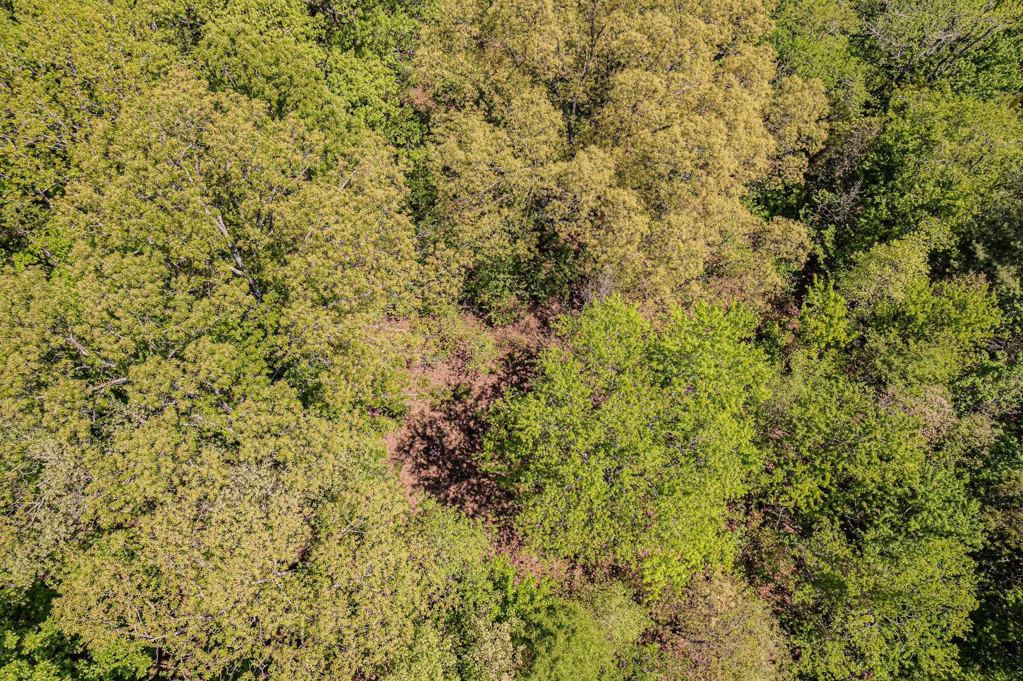 0 Euchee Road Ten Mile, TN 37880 - Photo 20 of 29