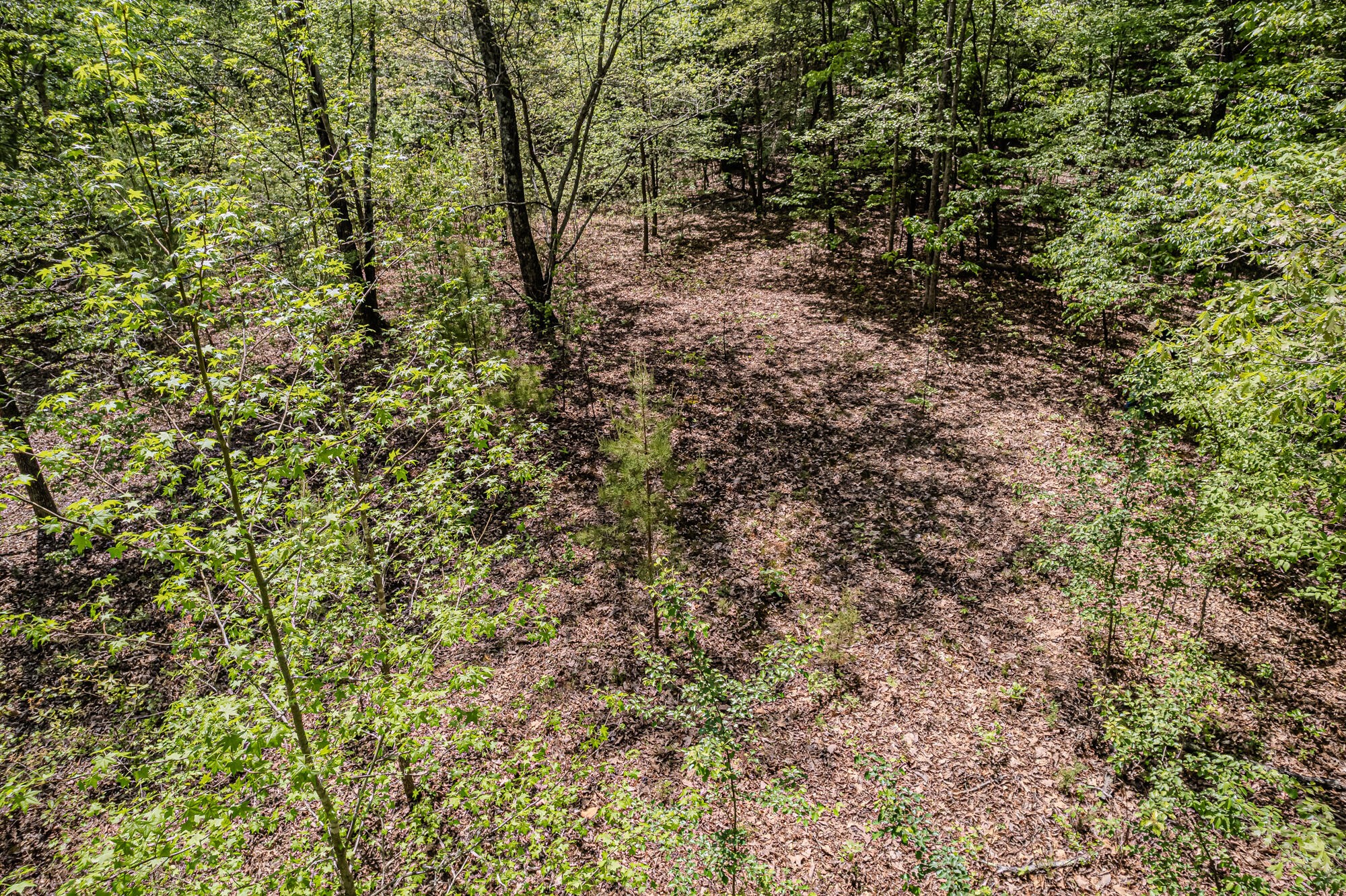 0 Euchee Road Ten Mile, TN 37880 - Photo 23 of 29